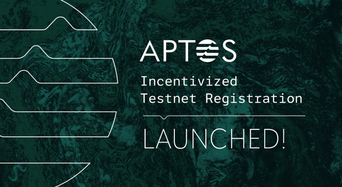 Aptos激励测试网注册和运行验证者节点教程-程序旅途