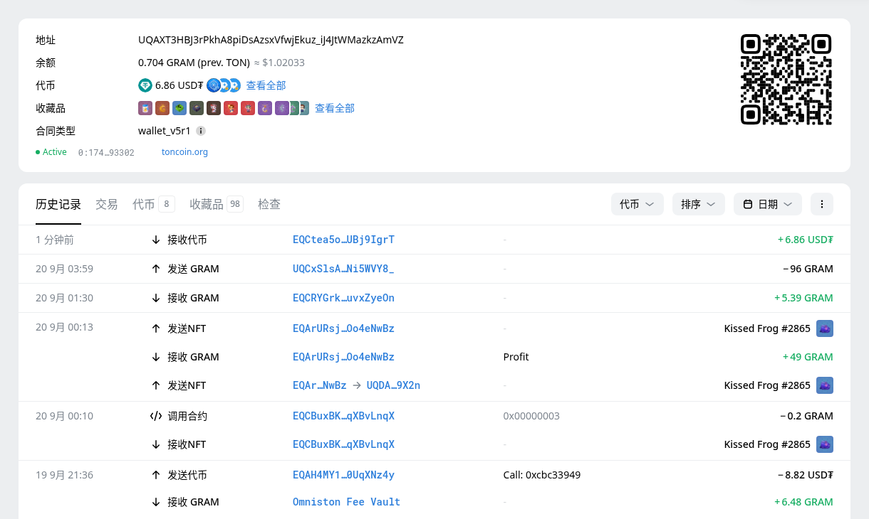 TON 链怎么运作:分片、Jetton 与钱包地址格式-程序旅途